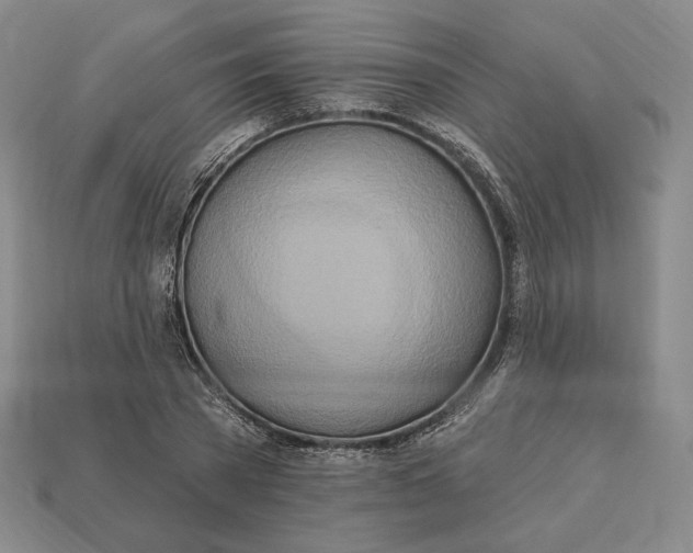 X0000113120785200909181648