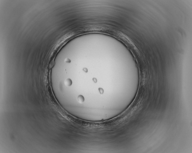 X0000113120786200909181648