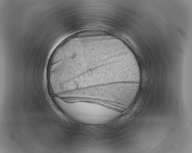 X0000113120788200909181647