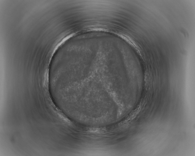 X0000113120790200909181647