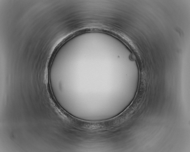 X0000113120791200909181647