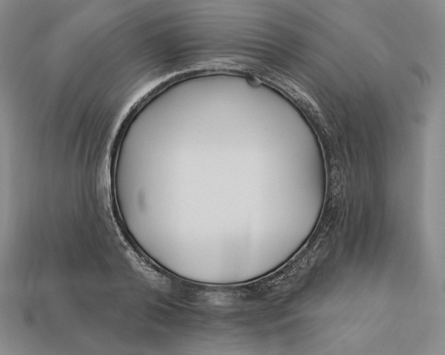 X0000113120792200909181647