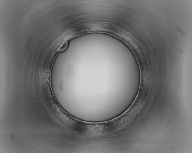 X0000113120793200909181647