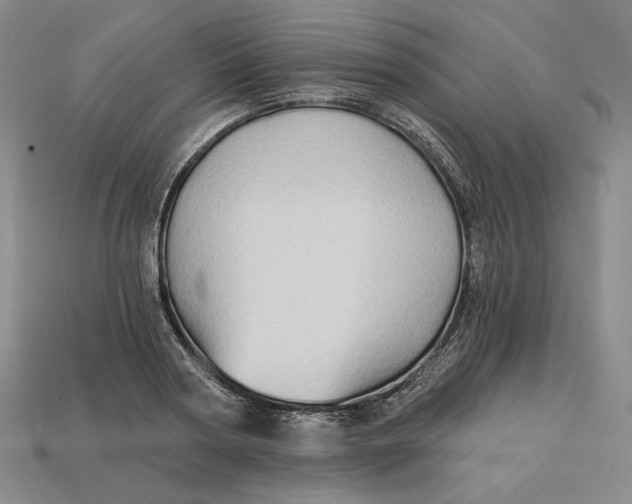 X0000113120794200909181647