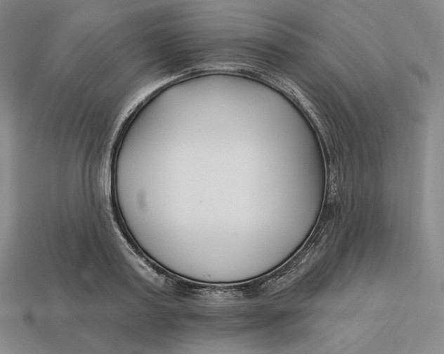 X0000113120795200909181647