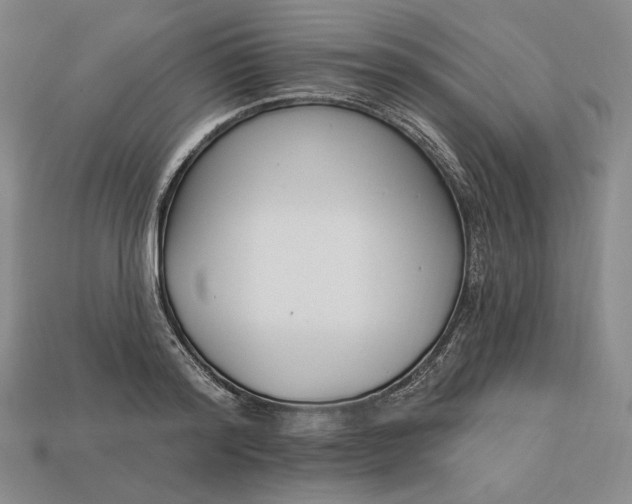 X0000113120796200909181647