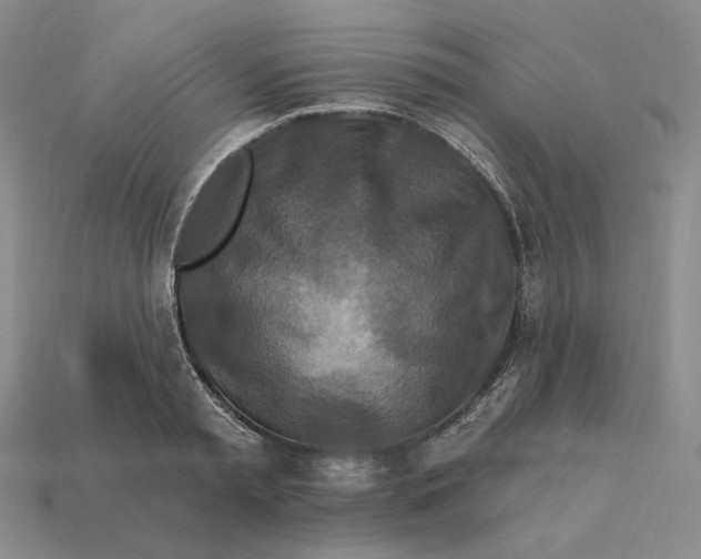 X0000113120797200909181647