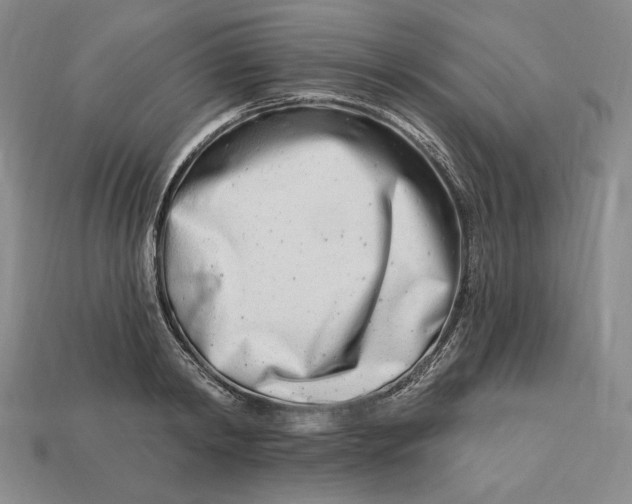 X0000113120798200909181647