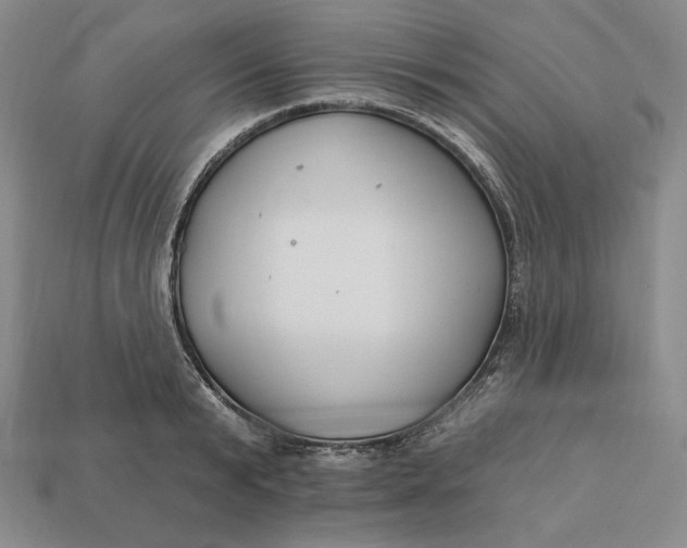 X0000113120799200909181647