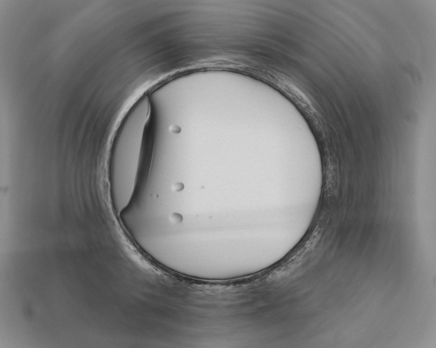 X0000113120800200909181647