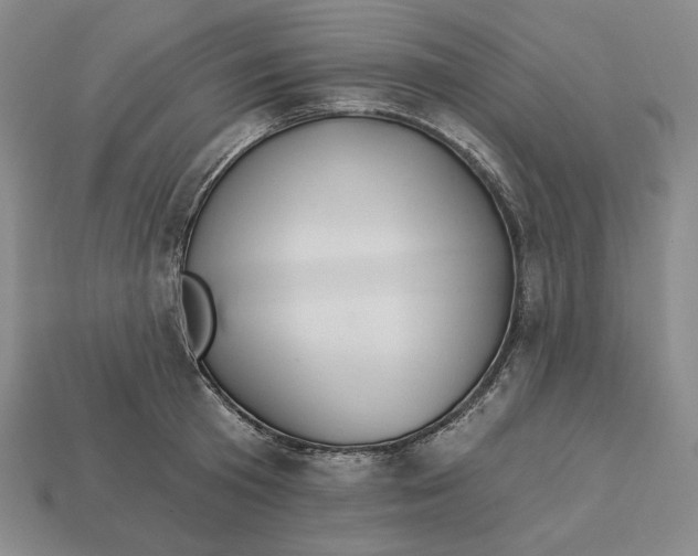 X0000113120801200909181647