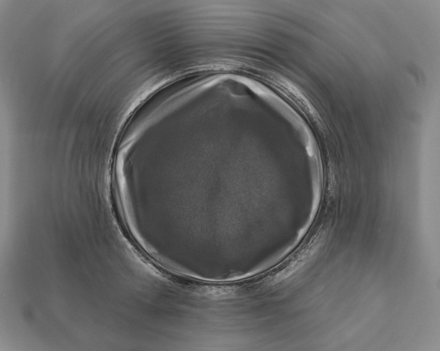 X0000113120802200909181647