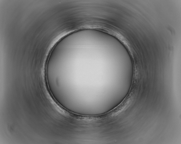 X0000113120803200909181647