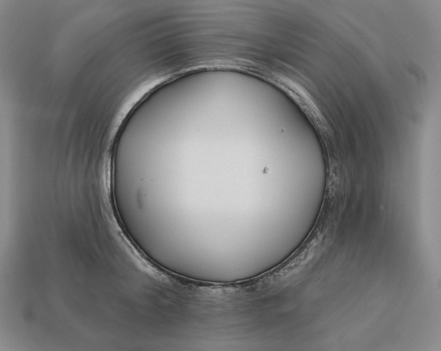 X0000113120804200909181647