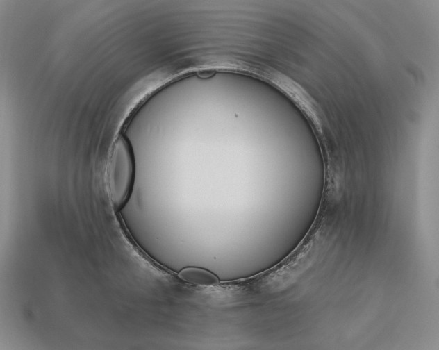 X0000113120805200909181647