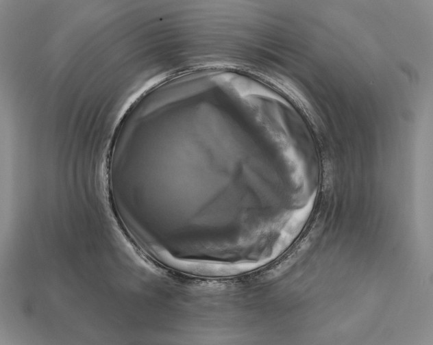 X0000113120806200909181647