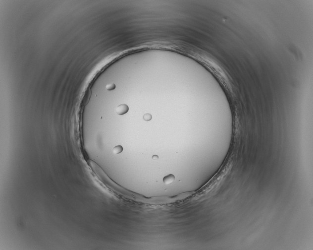 X0000113120808200909181647