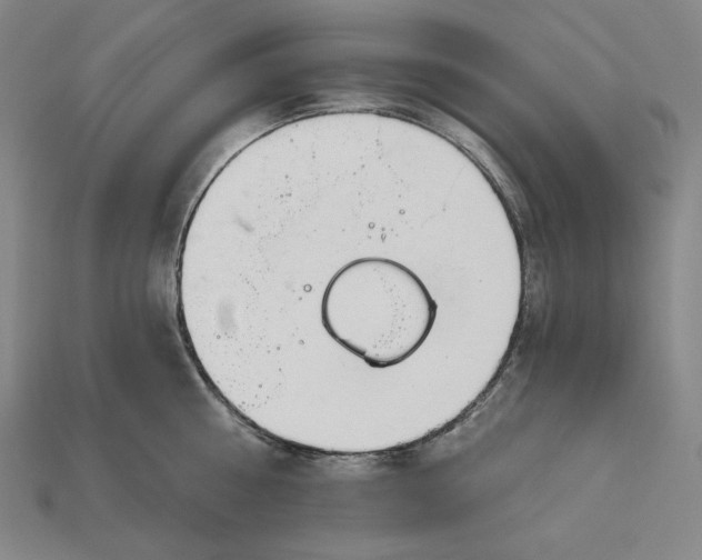 X0000113120810200909181647