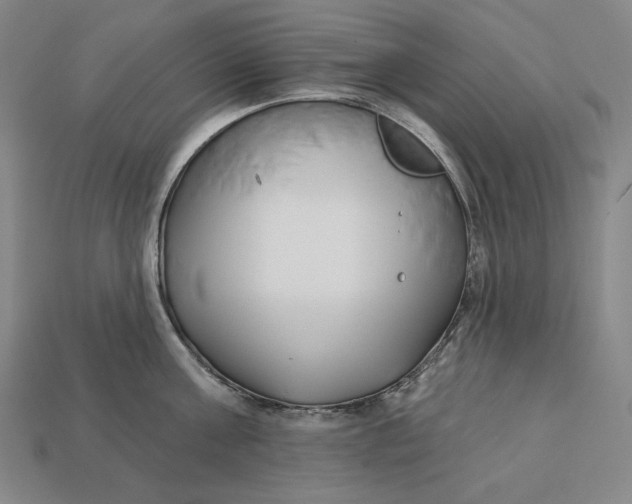 X0000113120811200909181647