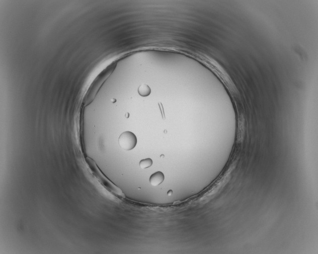 X0000113120812200909181647