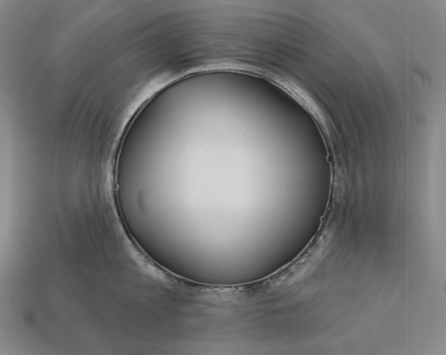 X0000113120813200909181647