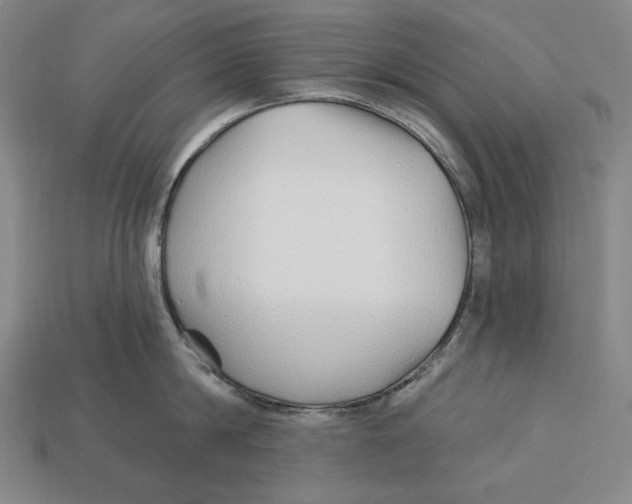 X0000113120814200909181647