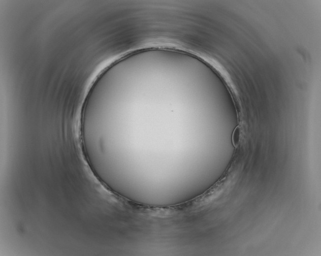 X0000113120815200909181647