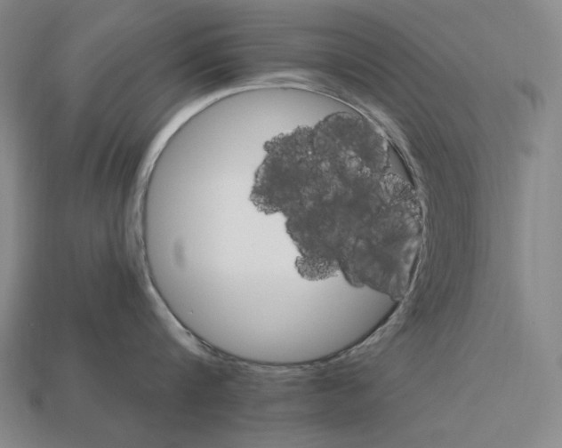 X0000113120816200909181647