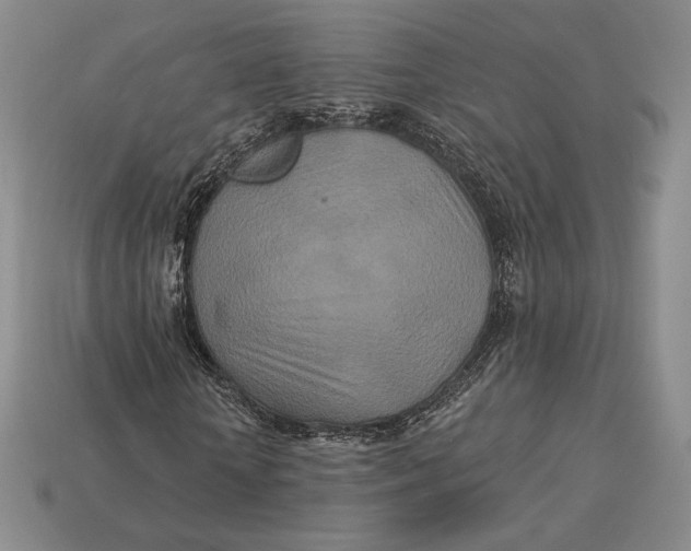 X0000113120818200909181647