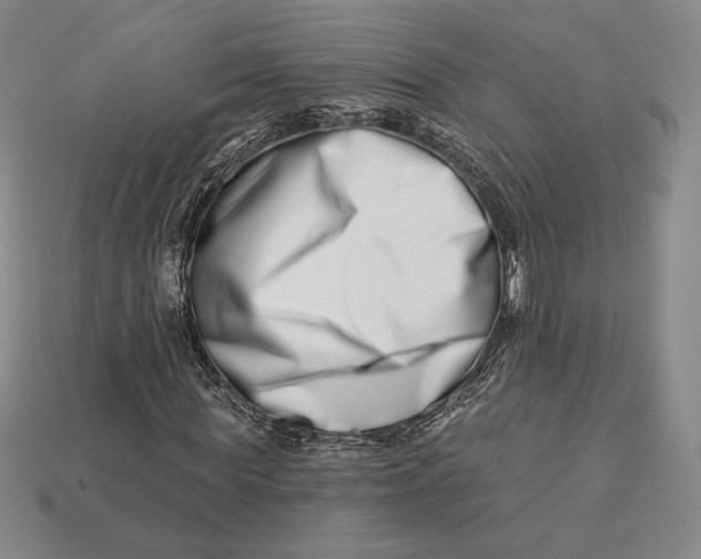 X0000113120819200909181647