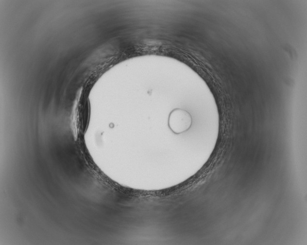 X0000113120820200909181647