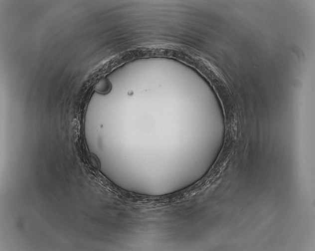 X0000113120821200909181647