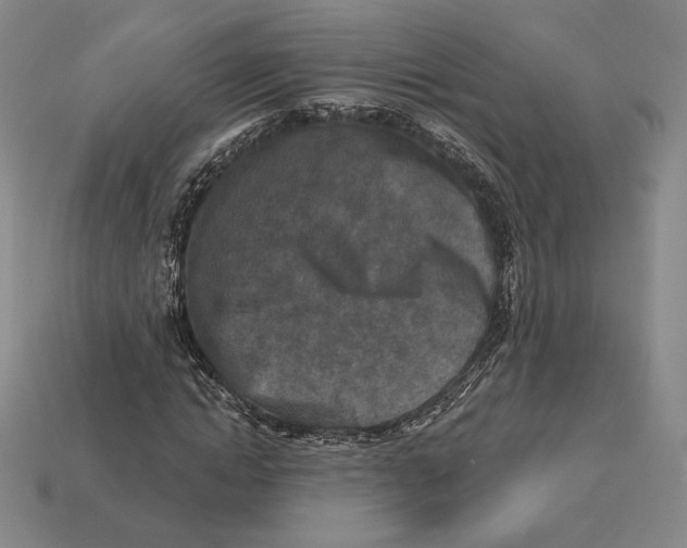 X0000113120822200909181647