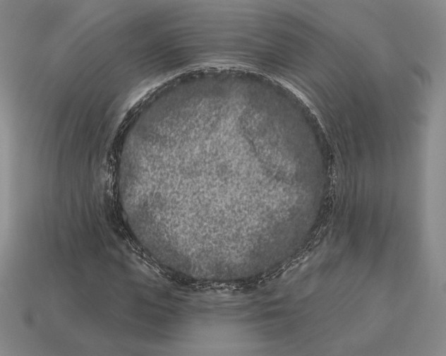 X0000113120823200909181647