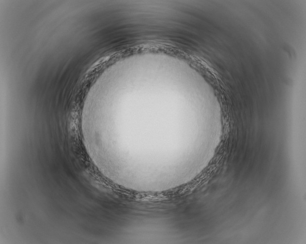 X0000113120824200909181647