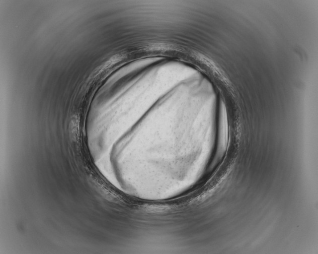 X0000113120825200909181647