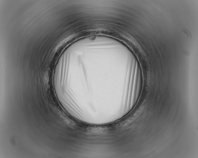 X0000113120826200909181647