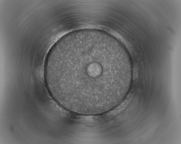 X0000113120828200909181647