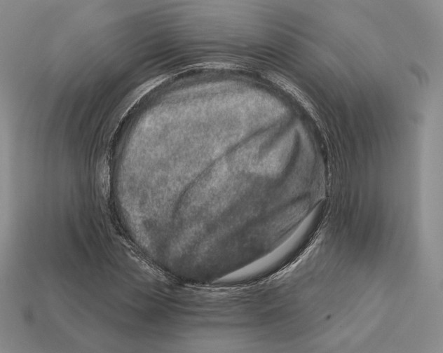 X0000113120829200909181647