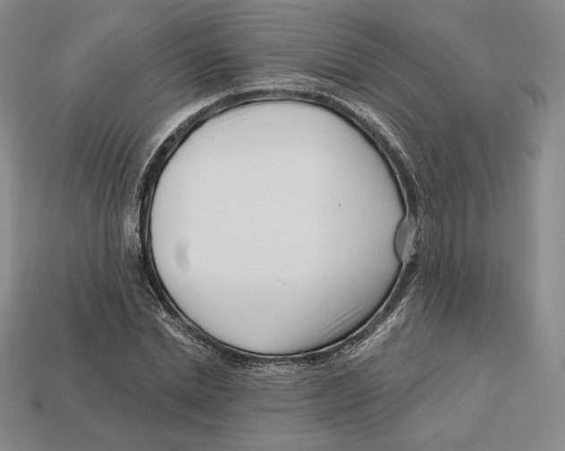 X0000113120830200909181647