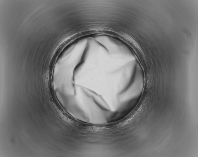 X0000113120831200909181647