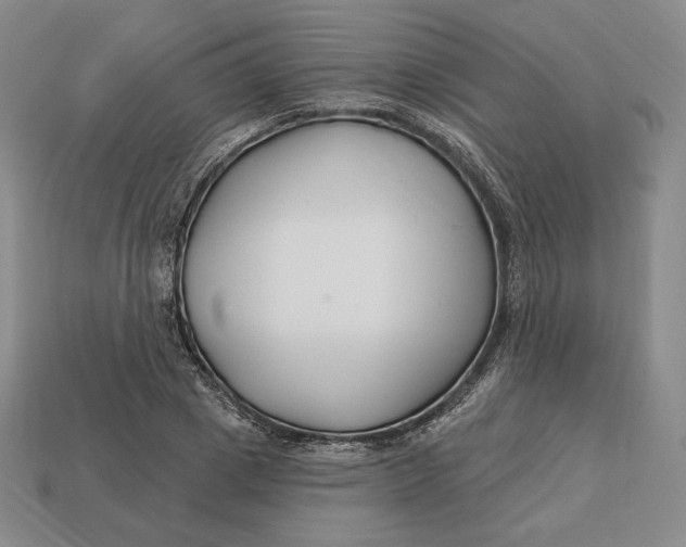 X0000113120833200909181647