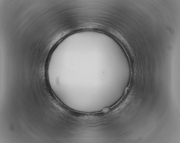 X0000113120834200909181647