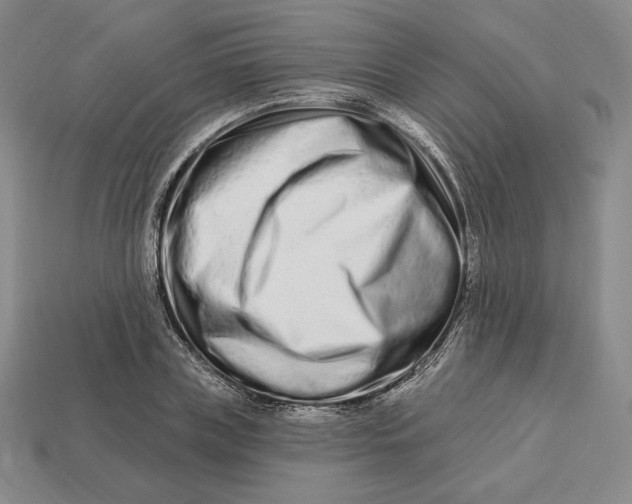 X0000113120835200909181647