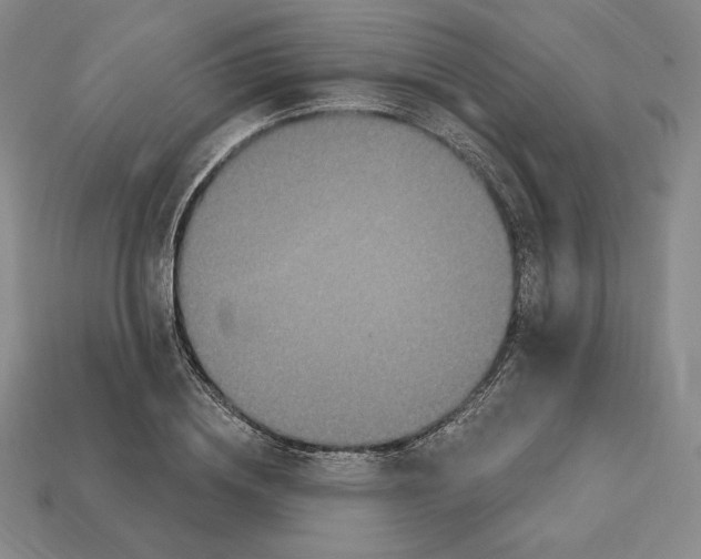 X0000113120836200909181647