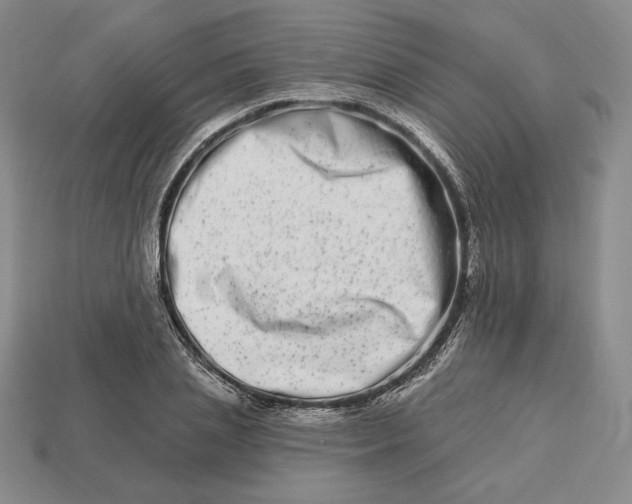 X0000113120837200909181647