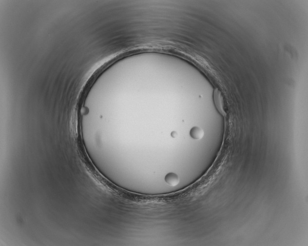 X0000113120838200909181647