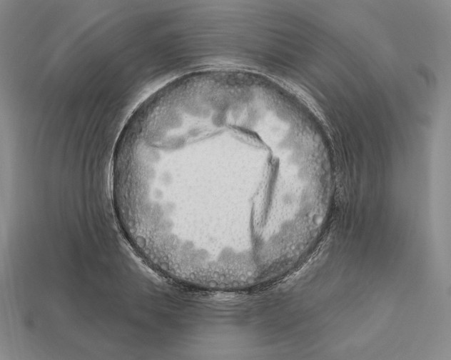 X0000113120839200909181647