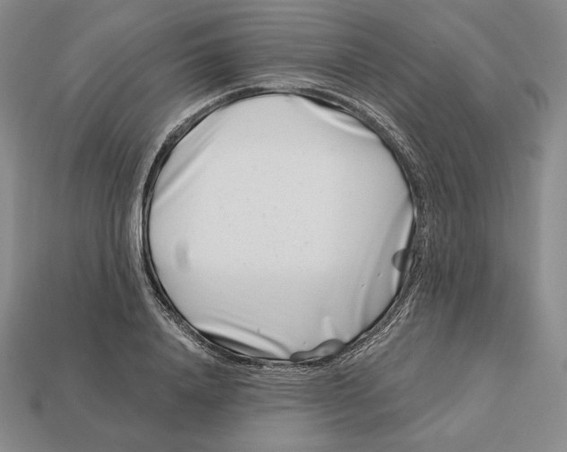 X0000113120840200909181647