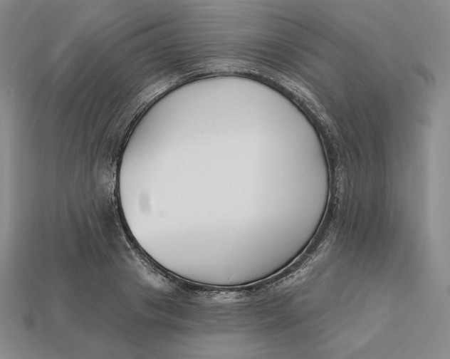 X0000113120841200909181647